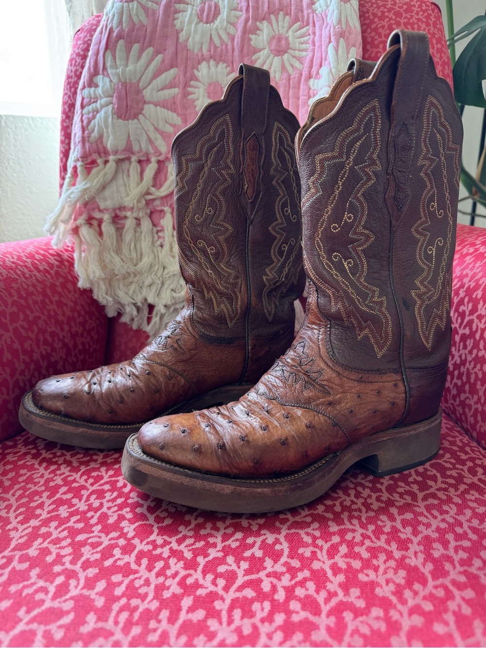 Lucchese Ostrich “2000”  Cowboy Boots, Size 7, Brown